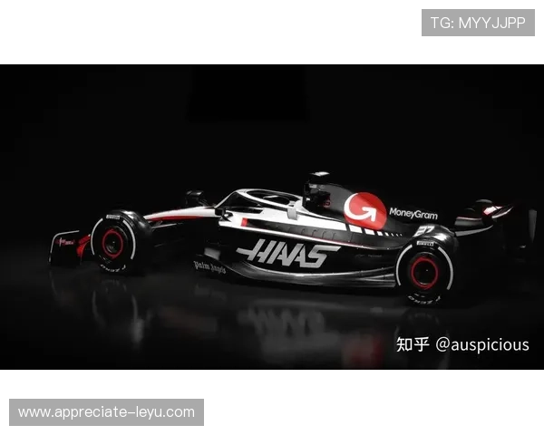 F1最新赛季风云再起新车队实力对比全面解析